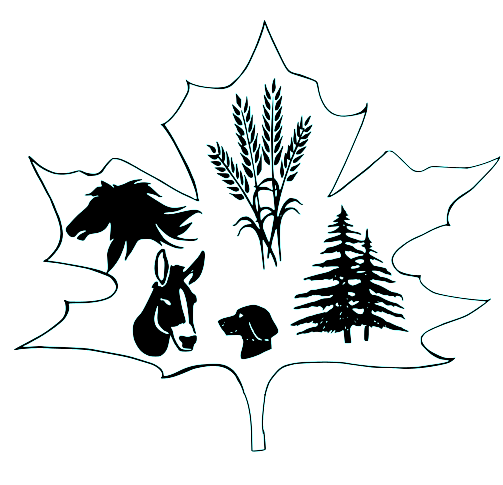 LEAFS